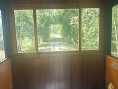 -合肥滨湖国家森林公园