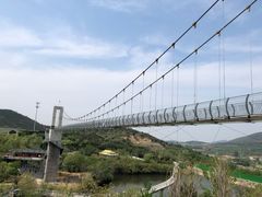 -青岛森林野生动物世界