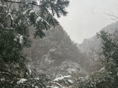-抱龙峪