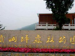 -铁山坪森林公园