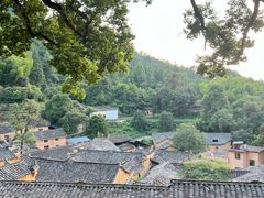 -杨家堂村