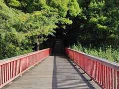 -美兰湖景区