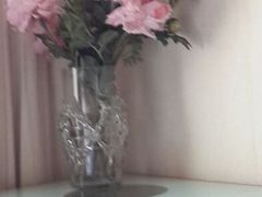 android_upload_pic-苏州金鸡湖中茵皇冠假日酒店