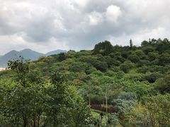 -广州从化都喜泰丽度假温泉酒店