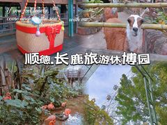 -长鹿旅游休博园