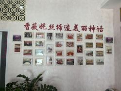 -香薇妮丝·定制减肥·身材管理