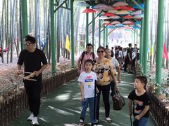 景点-陶祖圣境风景区