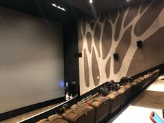 -萧山德纳MAX影城