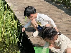-成都市活水公园