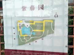 -嘉定紫藤园