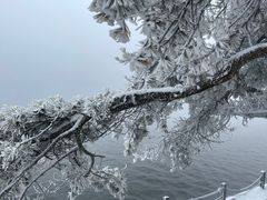 -庐山风景区花径公园