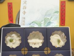-灵谷景区