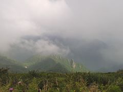 -秦岭风景区