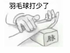 -苏州市体育中心-乒乓球羽毛球馆