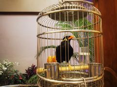 -杭州香格里拉·香宫中餐厅