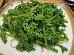 清炒油菜尖-妈妈的味道(和顺古镇店)