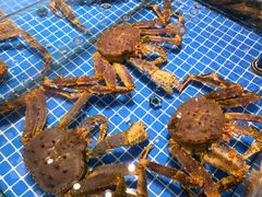 -连鹭海鲜·海肠捞饭·海胆饭(星海店)