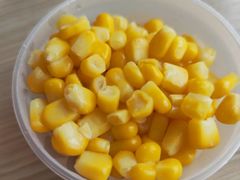 玉米杯-麦当劳(天鹿南路分店)