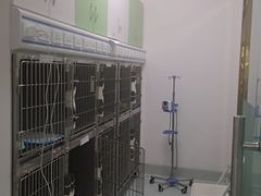 -汪喵宠物医院·骨科心脏影像·犬猫急重症ICU诊疗中心(成华分院)