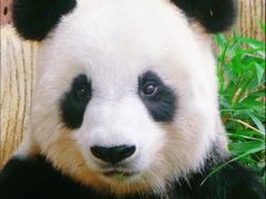 -海南热带野生动植物园
