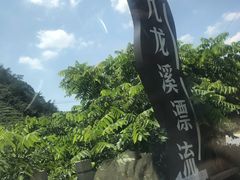 -千岛湖九龙溪漂流