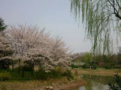 -堤角公园