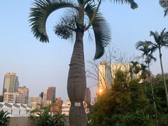 -九龙公园