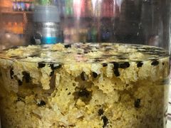 蜂巢泡酒-青城甲(青城山店)