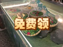 -芸山季·云南山珍菌火锅(人民广场来福士店)