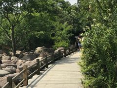 -吴淞炮台湾湿地森林公园烧烤区