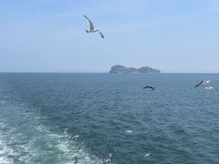 -海驴岛(荣成市)