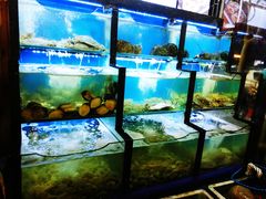 水产区-老东镇啤酒屋海鲜加工·蒸汽海鲜·海鲜烧烤(台东店)