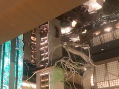 -桂满陇·海市蜃楼·黑金(国金店)