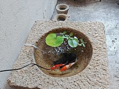 -邊渡咖啡