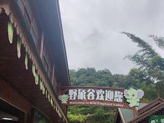 -野象谷景区
