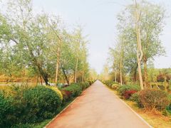 -白鹭湾湿地公园