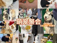 -砂之船奥特莱斯(合肥店)
