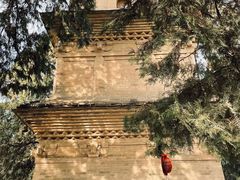 -兴教寺