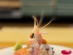 -鮨政· Omakase(福州万象城店)