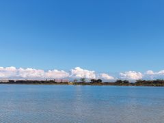 -大湾区中央湿地公园-十九涌