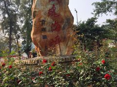 -玫瑰海岸文化旅游度假区