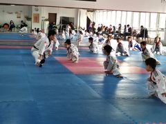 -陈中跆拳道(中关村馆)