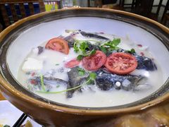 -全乐鱼馆·淳牌有机鱼直营店