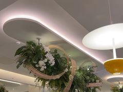 -Aqua Oasis 水天堂(太湖中心mall店)