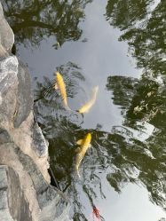 -人民大会堂宴会厅
