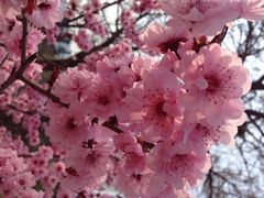 鹫峰国家森林公园-北京鹫峰国家森林公园