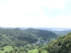 -龙井村
