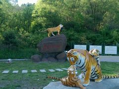 -横道河子东北虎林园