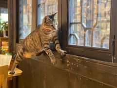 -猫的天空之城概念书店(杭州南宋御街店)