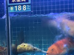 -启东小海鲜(庄先湾路1号店)